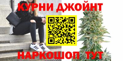 индика Пыть-Ях