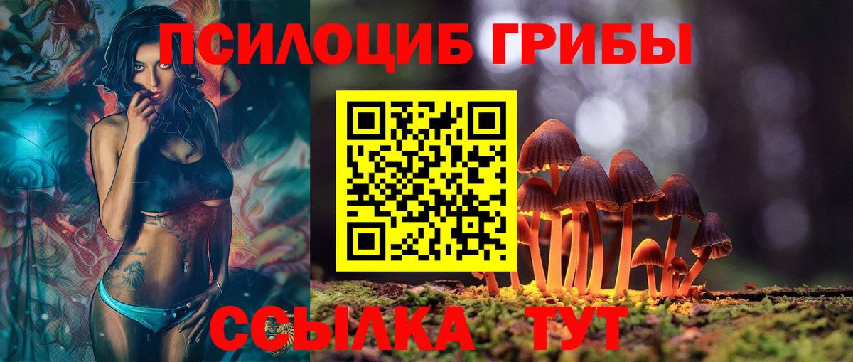 Галлюциногенные грибы Psilocybe  Вход с VPN  Ртищево 